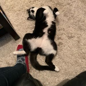 Meet your Posher, Jen